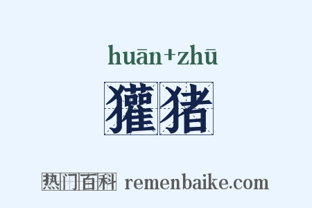 獾猪是什么意思的图片
